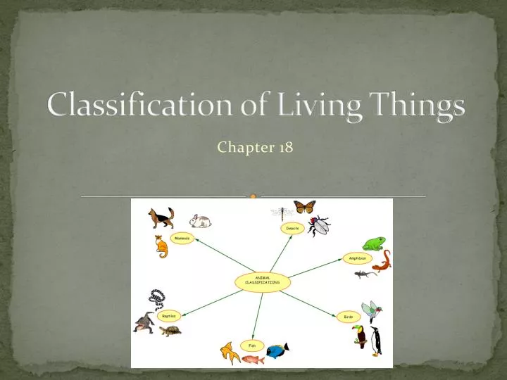 classification of living things