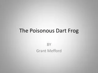 The Poisonous Dart Frog