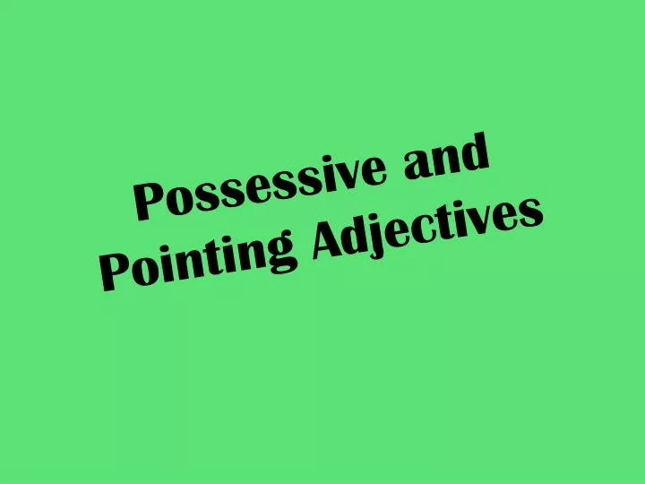 possessive and pointing adjectives