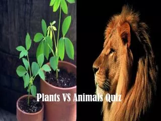 Plants VS Animals Quiz