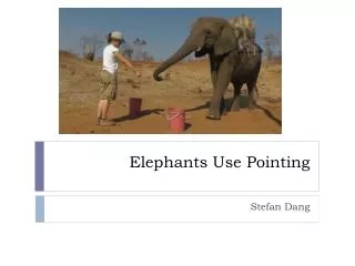 Elephants Use Pointing