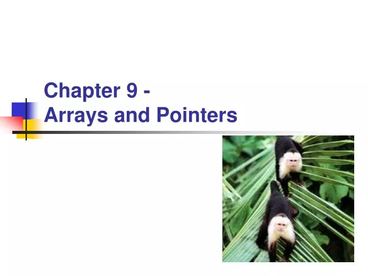 chapter 9 arrays and pointers