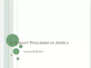 Elephant Poachers in Africa