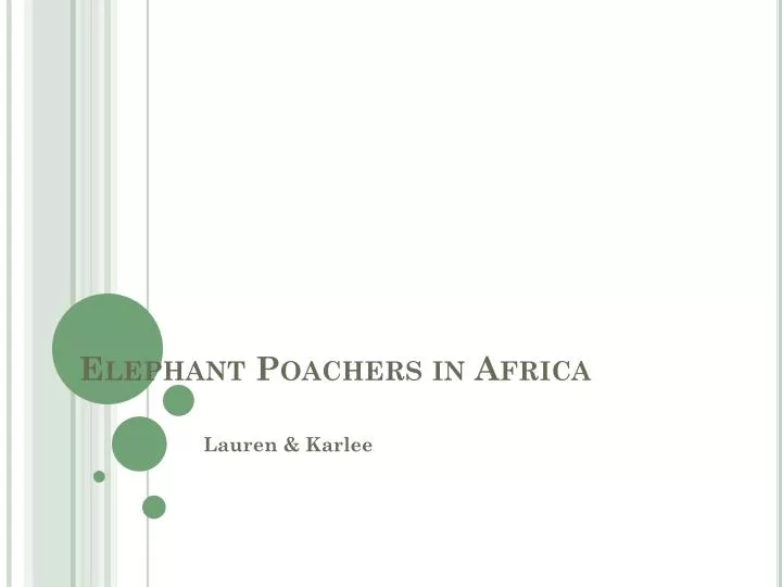 elephant poachers in africa