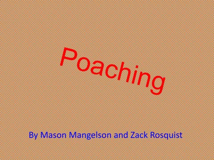 poaching