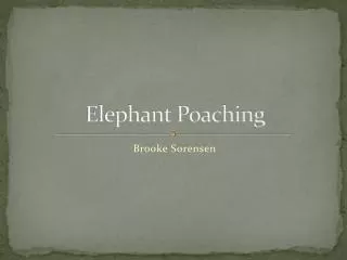 Elephant Poaching