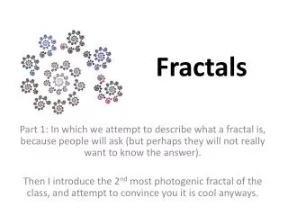 Fractals