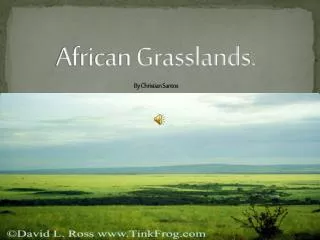 African Grasslands. By Christian Santos