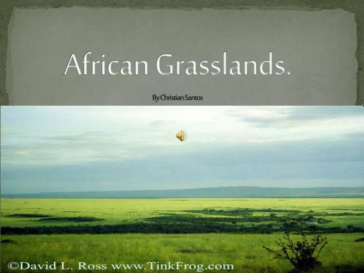 african grasslands by christian santos