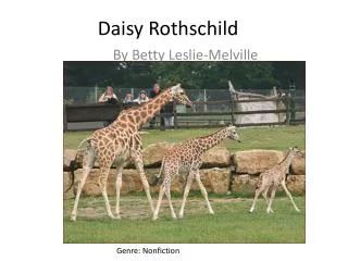 Daisy Rothschild