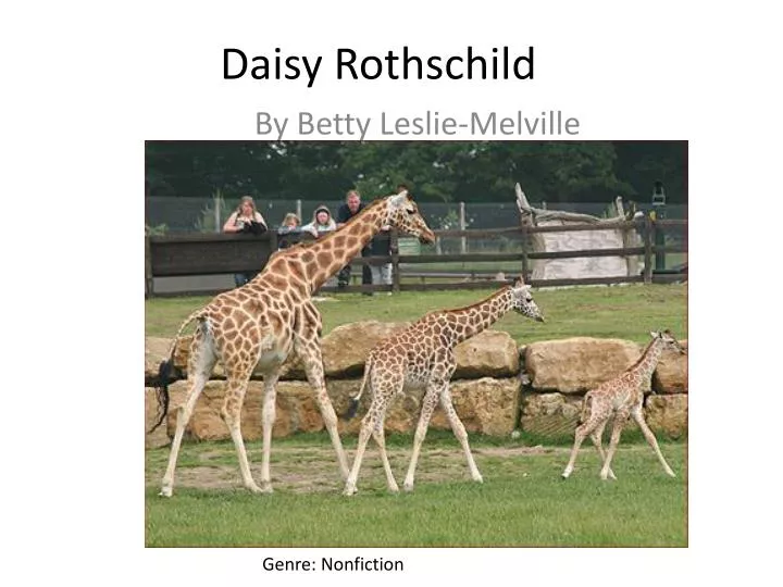 daisy rothschild