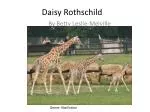 Daisy Rothschild - slide 1