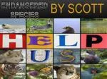 BY SCOTT - slide 1