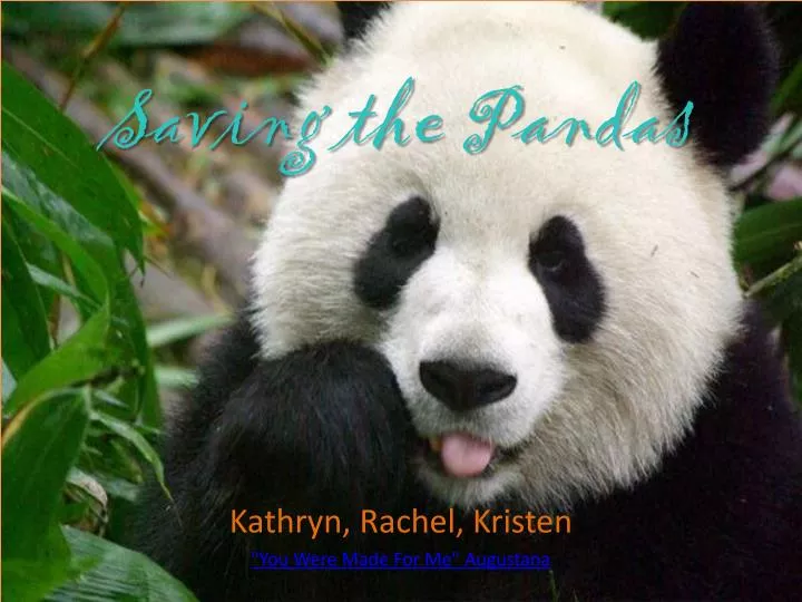 saving the pandas