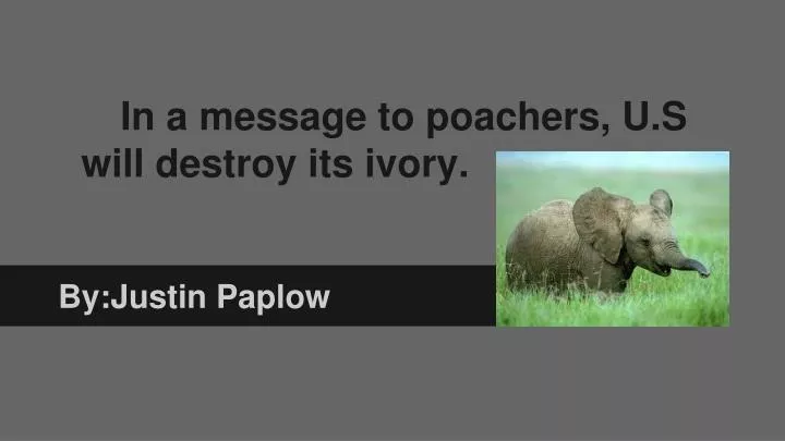 in a message to poachers u s will destroy its ivory