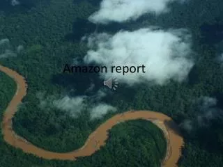 Amazon report