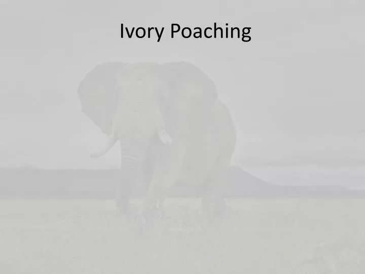 ivory poaching