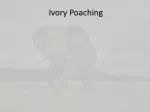 Ivory Poaching - slide 1