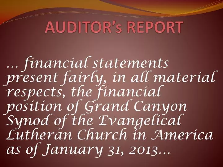 auditor s report