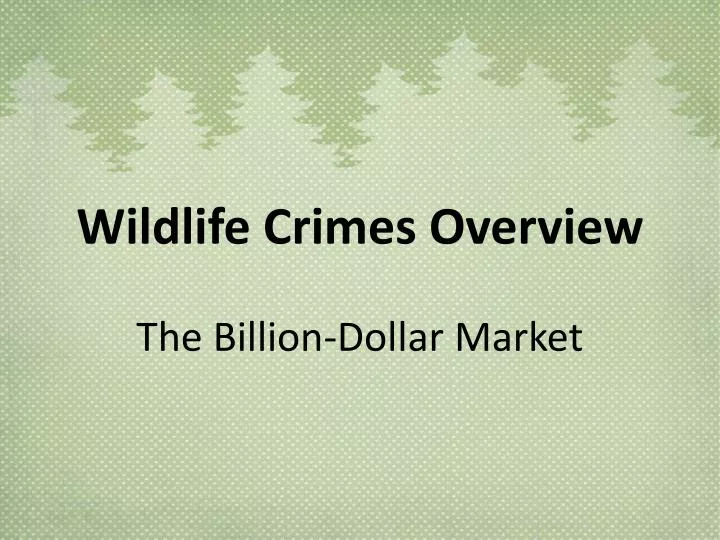 wildlife crimes overview