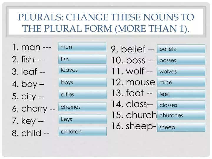 plurals change these nouns to the plural form more than 1