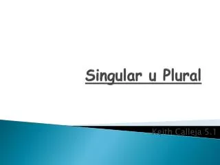 singular u plural