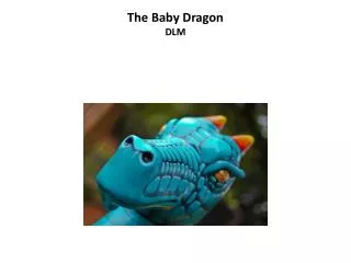 The Baby Dragon DLM