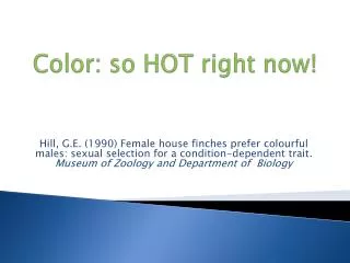 Color: so HOT right now!