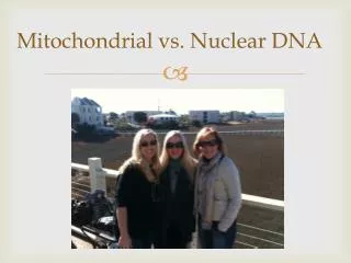 Mitochondrial vs. Nuclear DNA