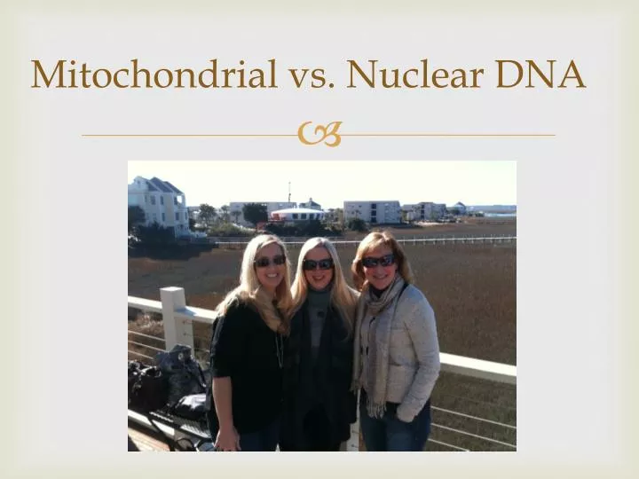 mitochondrial vs nuclear dna