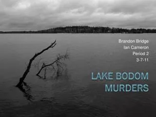 Lake Bodom Murders