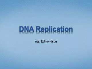 dna replication