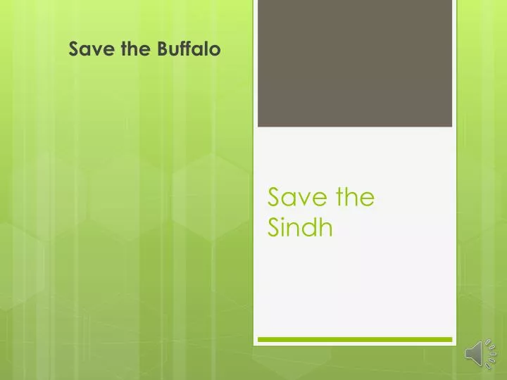 save the sindh
