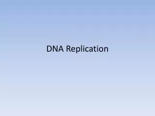 DNA Replication