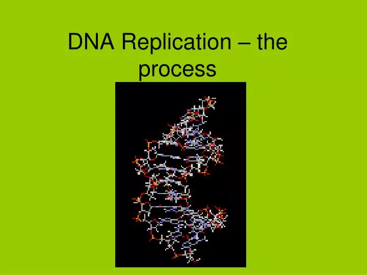 dna replication the process