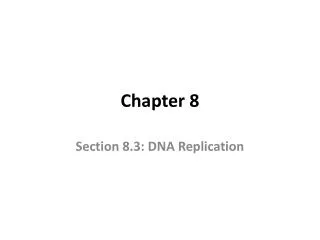 Chapter 8