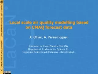 Local scale air quality modelling based on CMAQ forecast data