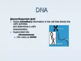 DNA