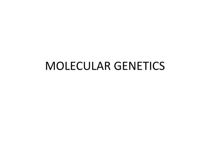 molecular genetics