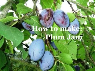 How to make: Plum Jam