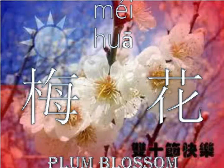 m i hu plum blossom