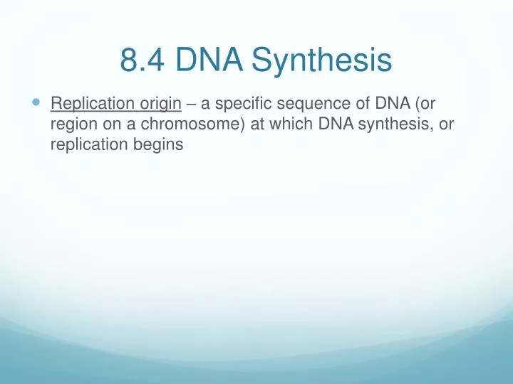 8 4 dna synthesis