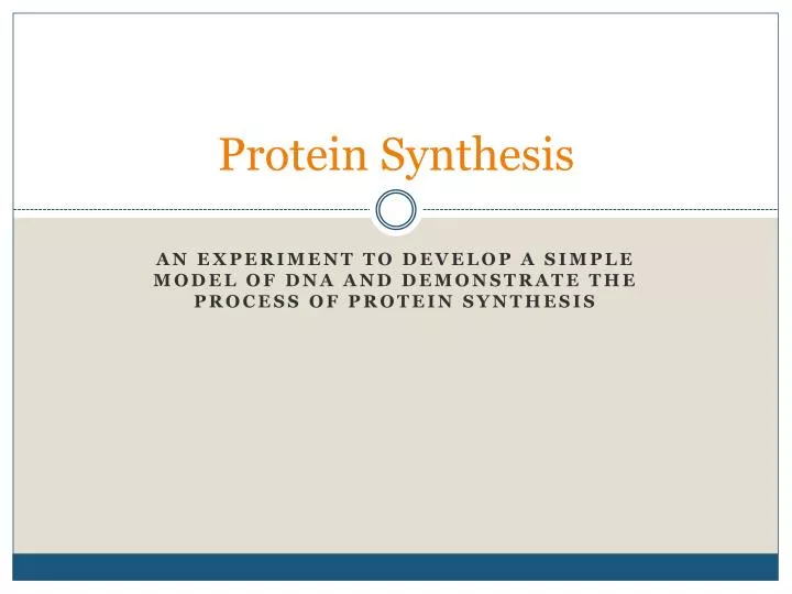 protein synthesis