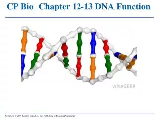 CP Bio	Chapter 12-13 DNA Function