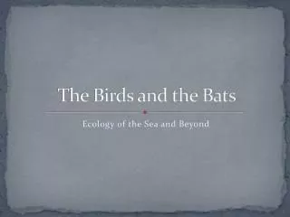 The Birds and the Bats