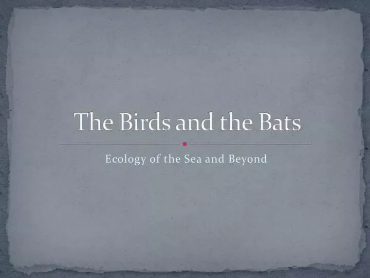 the birds and the bats