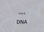 Understanding DNA Structure, Replication, Transcription, Translation, and Mutation Processes - slide 1