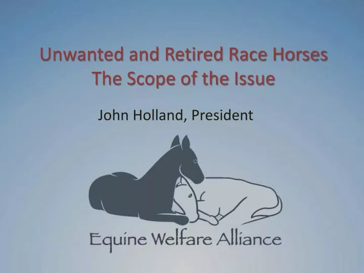 unwanted and retired race horses the scope of the issue