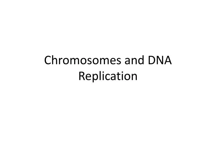 chromosomes and dna replication