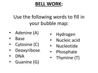 BELL WORK : Use the following words to fill in your bubble map: